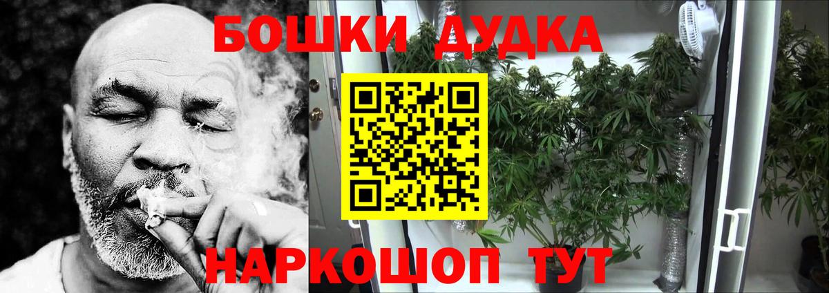 Каннабис SATIVA & INDICA Октябрьский